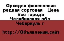 Орхидея фаленопсис редкая сортовая › Цена ­ 800 - Все города  »    . Челябинская обл.,Чебаркуль г.
